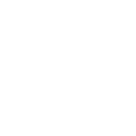 firstick